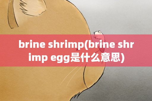 brine shrimp(brine shrimp egg是什么意思)