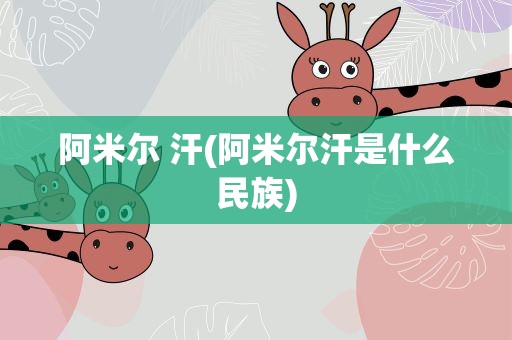 阿米尔 汗(阿米尔汗是什么民族)
