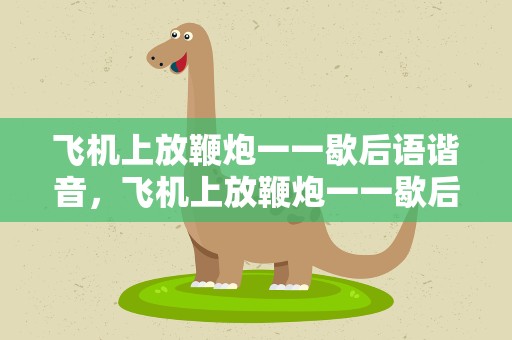飞机上放鞭炮一一歇后语谐音，飞机上放鞭炮一一歇后语1个