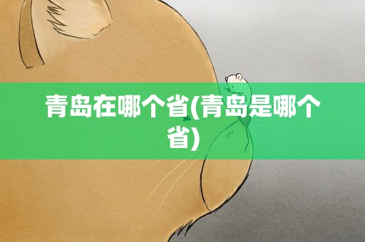 青岛在哪个省(青岛是哪个省)
