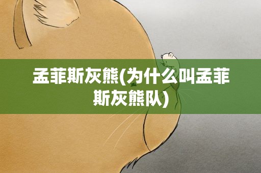孟菲斯灰熊(为什么叫孟菲斯灰熊队)