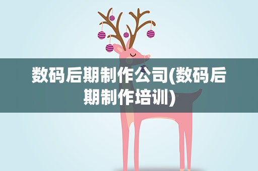 数码后期制作公司(数码后期制作培训)
