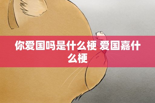 你爱国吗是什么梗 爱国嘉什么梗