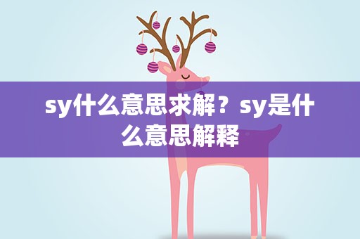 sy什么意思求解？sy是什么意思解释