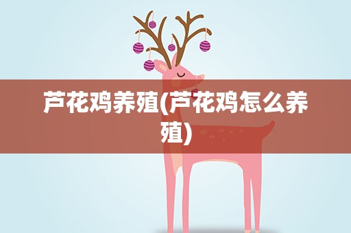 芦花鸡养殖(芦花鸡怎么养殖)