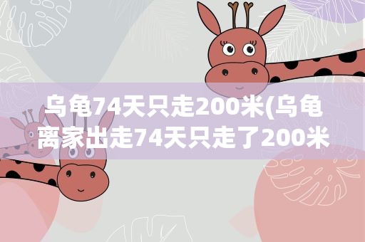 乌龟74天只走200米(乌龟离家出走74天只走了200米,具体是什么情况)