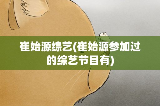 崔始源综艺(崔始源参加过的综艺节目有)