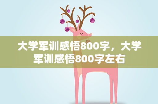 大学军训感悟800字，大学军训感悟800字左右