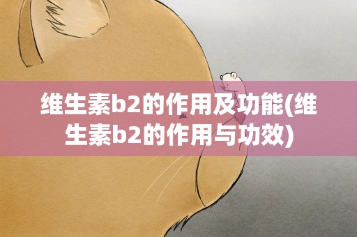 维生素b2的作用及功能(维生素b2的作用与功效)