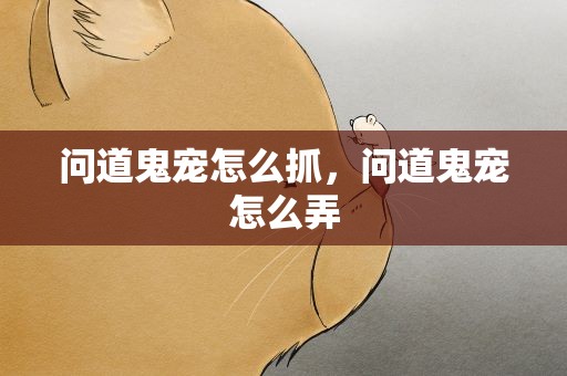 问道鬼宠怎么抓，问道鬼宠怎么弄