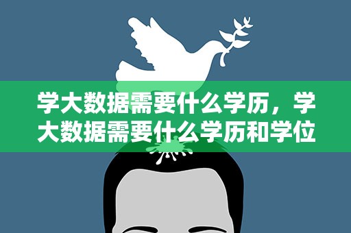 学大数据需要什么学历，学大数据需要什么学历和学位