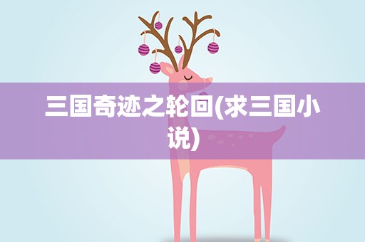 三国奇迹之轮回(求三国小说)