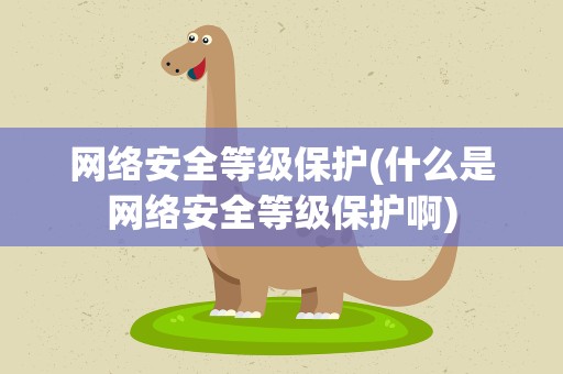 网络安全等级保护(什么是网络安全等级保护啊)