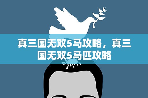 真三国无双5马攻略，真三国无双5马匹攻略