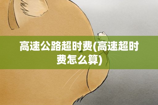 高速公路超时费(高速超时费怎么算)