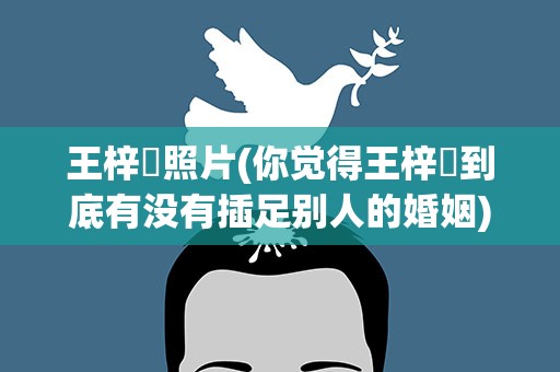 王梓芠照片(你觉得王梓芠到底有没有插足别人的婚姻)