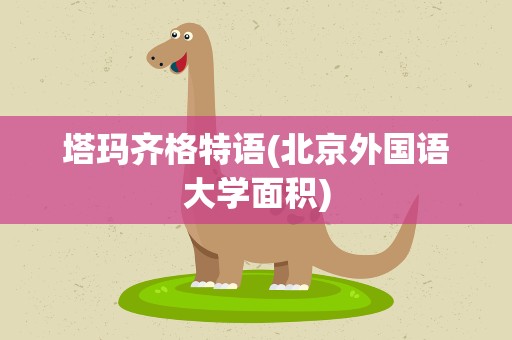 塔玛齐格特语(北京外国语大学面积)