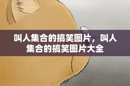 叫人集合的搞笑图片，叫人集合的搞笑图片大全