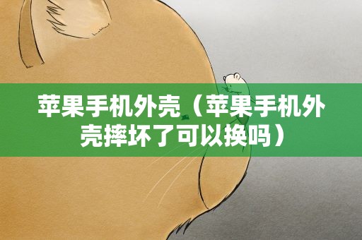 苹果手机外壳（苹果手机外壳摔坏了可以换吗）
