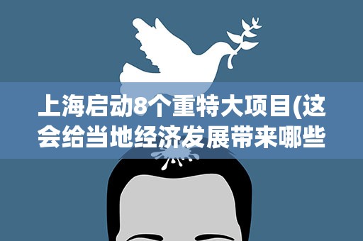 上海启动8个重特大项目(这会给当地经济发展带来哪些改变)