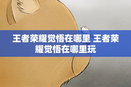 王者荣耀觉悟在哪里 王者荣耀觉悟在哪里玩