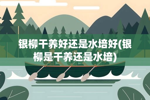 银柳干养好还是水培好(银柳是干养还是水培)
