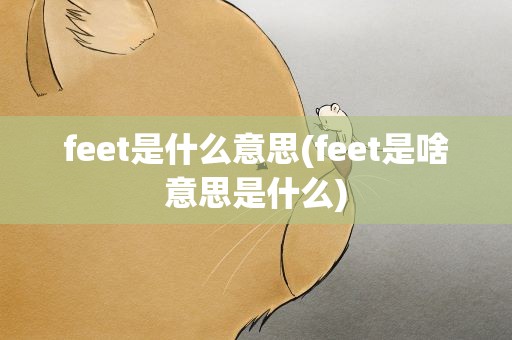 feet是什么意思(feet是啥意思是什么)