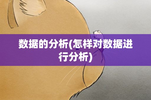 数据的分析(怎样对数据进行分析)