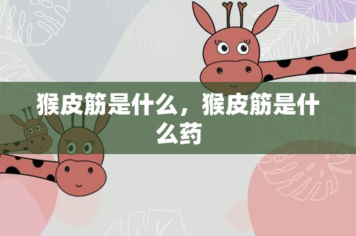 猴皮筋是什么，猴皮筋是什么药