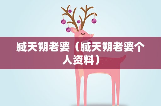 臧天朔老婆（臧天朔老婆个人资料）