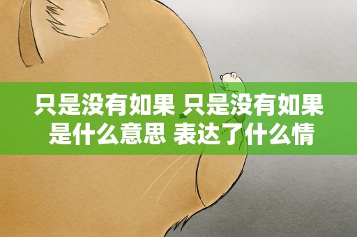 只是没有如果 只是没有如果 是什么意思 表达了什么情感