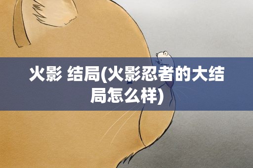 火影 结局(火影忍者的大结局怎么样)