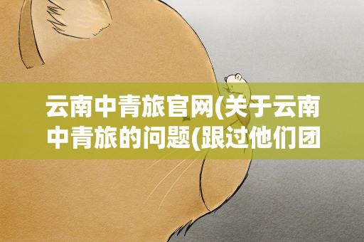 云南中青旅官网(关于云南中青旅的问题(跟过他们团的进))