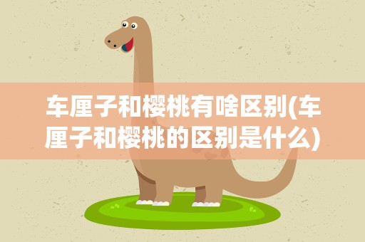 车厘子和樱桃有啥区别(车厘子和樱桃的区别是什么)