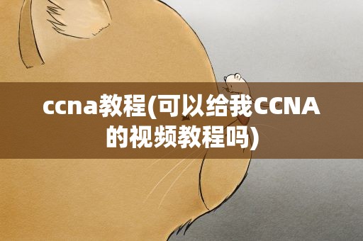 ccna教程(可以给我CCNA的视频教程吗)