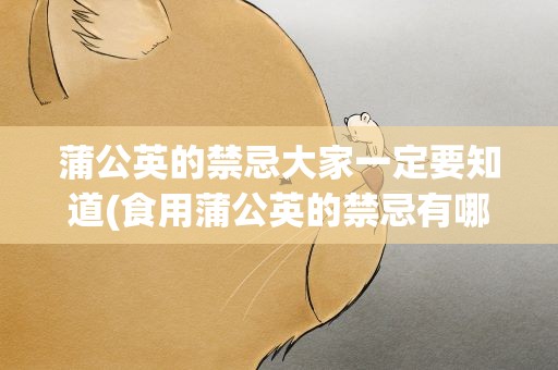 蒲公英的禁忌大家一定要知道(食用蒲公英的禁忌有哪些)