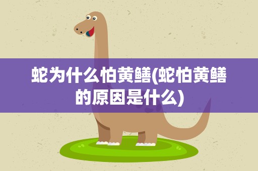 蛇为什么怕黄鳝(蛇怕黄鳝的原因是什么)