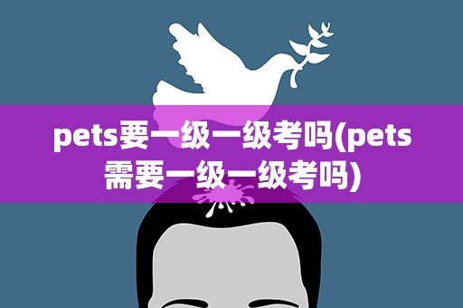 pets要一级一级考吗(pets需要一级一级考吗)
