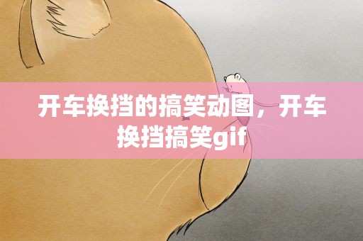 开车换挡的搞笑动图，开车换挡搞笑gif