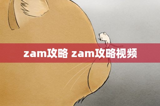 zam攻略 zam攻略视频
