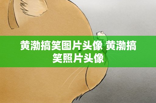 黄渤搞笑图片头像 黄渤搞笑照片头像
