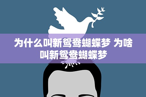 为什么叫新鸳鸯蝴蝶梦 为啥叫新鸳鸯蝴蝶梦