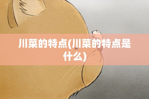 川菜的特点(川菜的特点是什么)