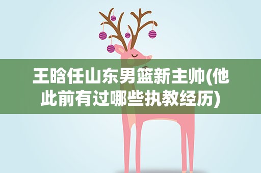 王晗任山东男篮新主帅(他此前有过哪些执教经历)