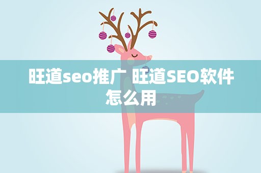旺道seo推广 旺道SEO软件怎么用