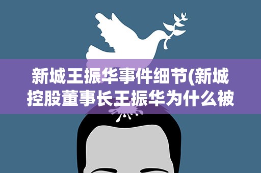 新城王振华事件细节(新城控股董事长王振华为什么被抓)