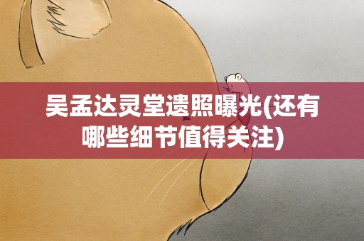 吴孟达灵堂遗照曝光(还有哪些细节值得关注)
