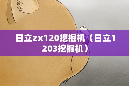 日立zx120挖掘机（日立1203挖掘机）