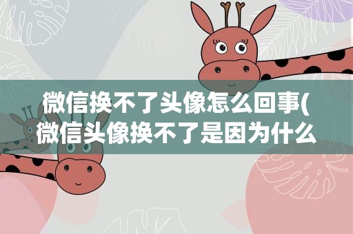 微信换不了头像怎么回事(微信头像换不了是因为什么)