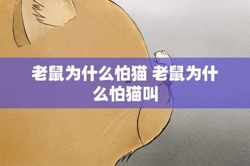 老鼠为什么怕猫 老鼠为什么怕猫叫